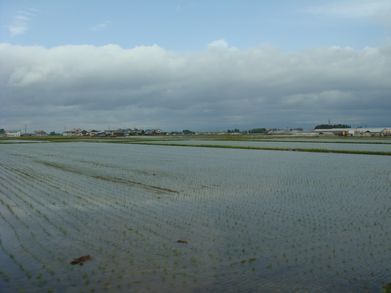 DSC02461blog.jpg