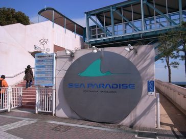 sea paradise.jpg