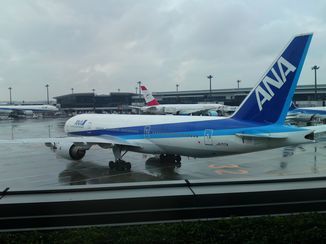 ANA機成田空港にて.jpg