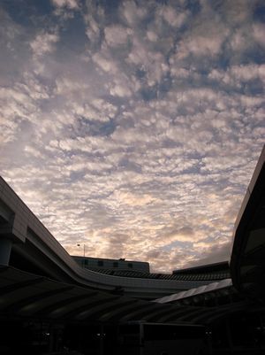 成田空港到着.jpg