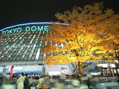 東京ドームコンサート.jpg
